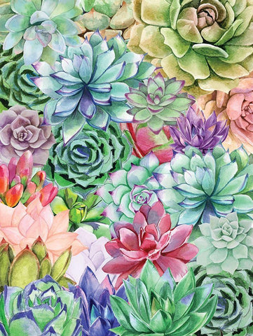 Succulents Paradise White Modern Wood Framed Art Print with Double Matting by Seven Trees Design