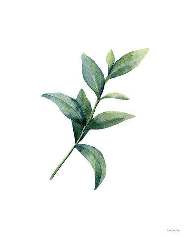 Eucalyptus III White Modern Wood Framed Art Print with Double Matting by Seven Trees Design