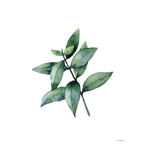 Eucalyptus IV Black Modern Wood Framed Art Print by Seven Trees Design