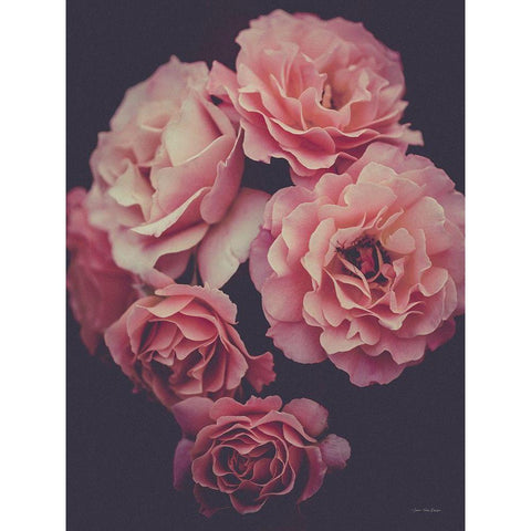 Dreamy Roses Black Modern Wood Framed Art Print by Seven Trees Design
