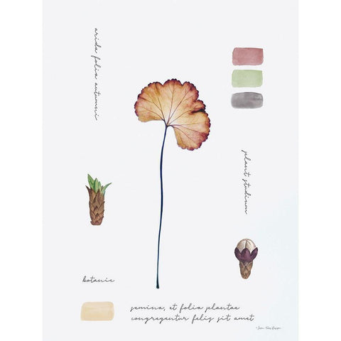 Botanical Notes Black Modern Wood Framed Art Print by Seven Trees Design