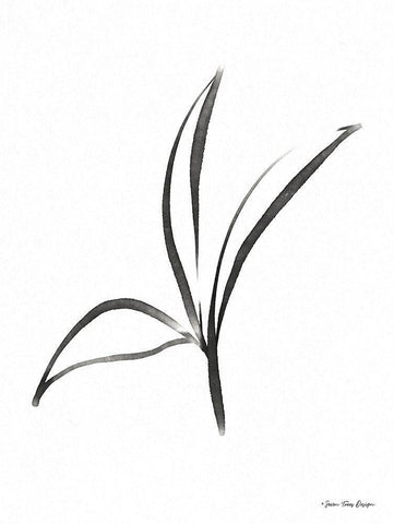 Black Botanical Watercolor White Modern Wood Framed Art Print with Double Matting by Seven Trees Design