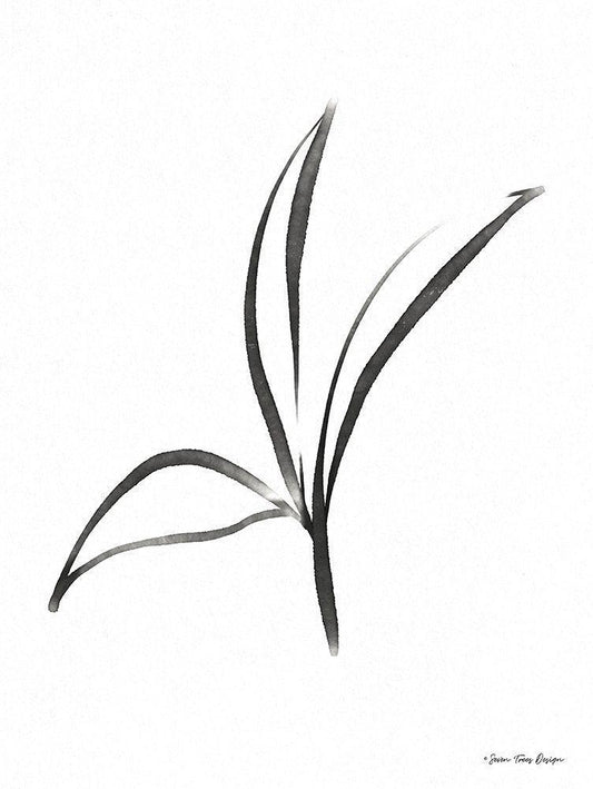 Image Only