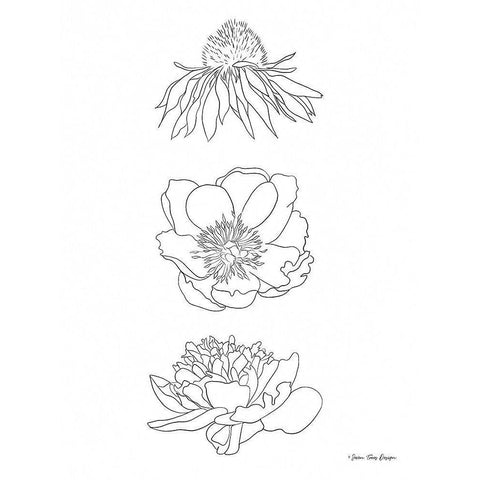 Hand Drawn Flowers Gold Ornate Wood Framed Art Print with Double Matting by Seven Trees Design