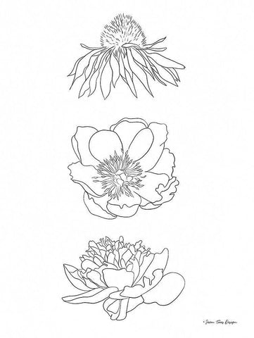Hand Drawn Flowers Black Ornate Wood Framed Art Print with Double Matting by Seven Trees Design