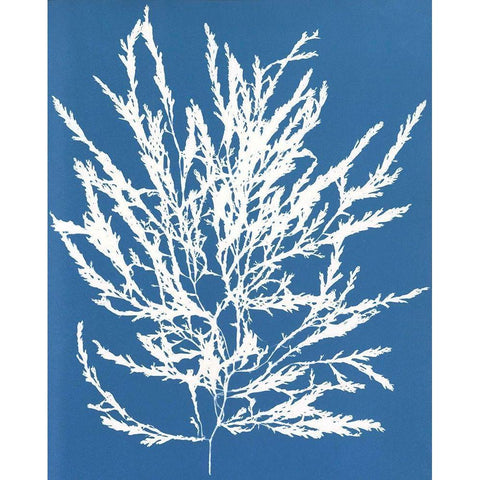 Blue Botanical I Black Modern Wood Framed Art Print by Seven Trees Design
