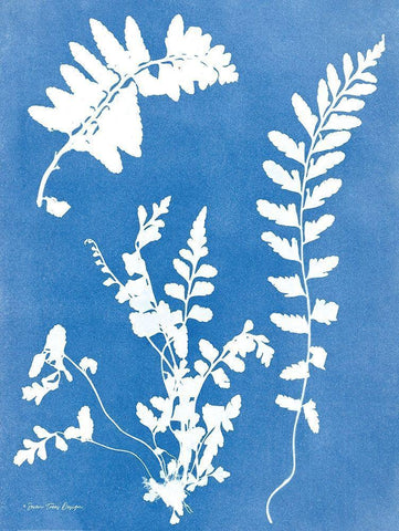 Blue Botanical II White Modern Wood Framed Art Print with Double Matting by Seven Trees Design