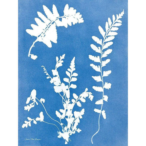 Blue Botanical II Gold Ornate Wood Framed Art Print with Double Matting by Seven Trees Design