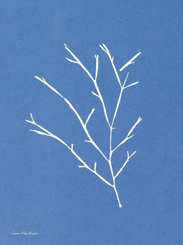 Blue Botanical III    White Modern Wood Framed Art Print with Double Matting by Seven Trees Design