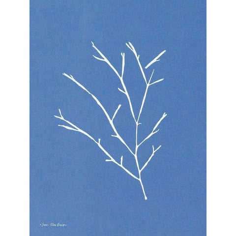 Blue Botanical III    Black Modern Wood Framed Art Print with Double Matting by Seven Trees Design