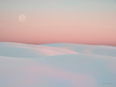 Moon and Dunes White Modern Wood Framed Art Print with Double Matting by Seven Trees Design