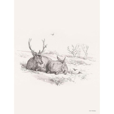 Reindeer Chilling    White Modern Wood Framed Art Print by Seven Trees Design