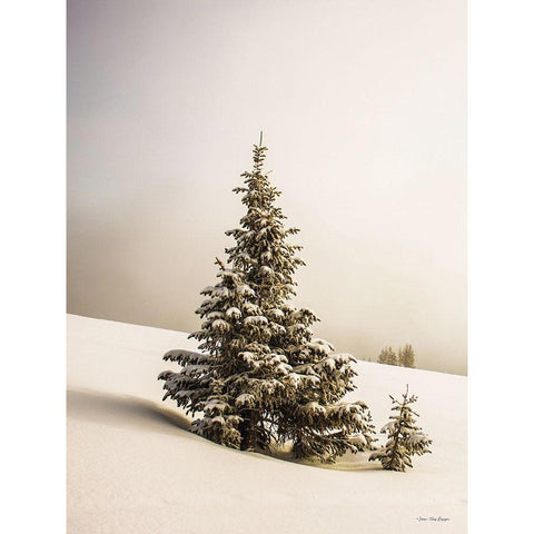 Pine Trees in the Snow    Black Modern Wood Framed Art Print with Double Matting by Seven Trees Design