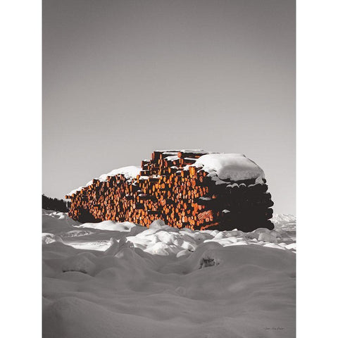 Logs in Snow    Black Modern Wood Framed Art Print with Double Matting by Seven Trees Design