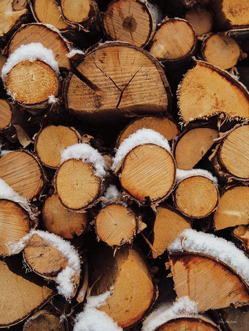 Wood Pile    Black Ornate Wood Framed Art Print with Double Matting by Seven Trees Design