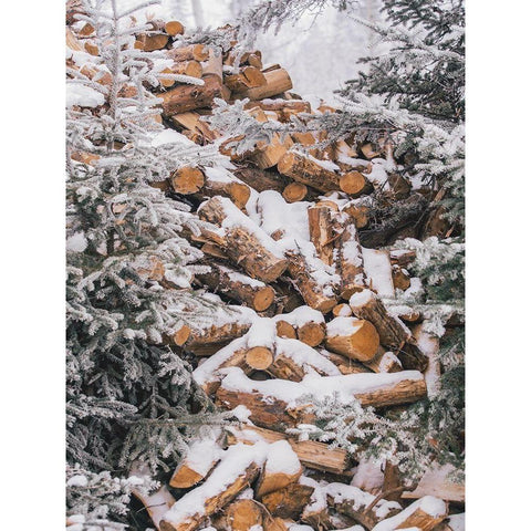 Winter Wood Pile    Black Modern Wood Framed Art Print by Seven Trees Design