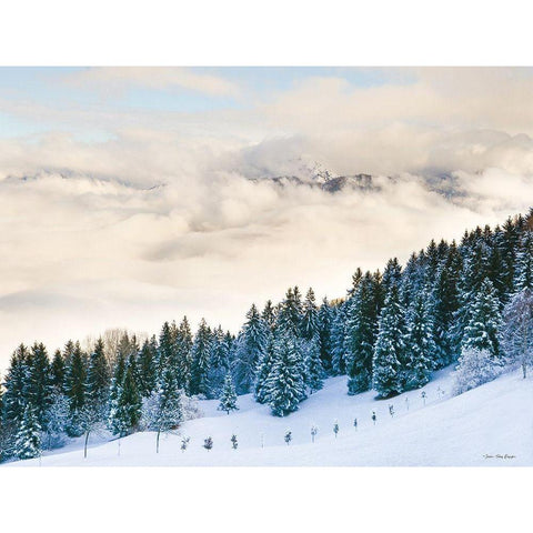 Pines in the Sky    White Modern Wood Framed Art Print by Seven Trees Design