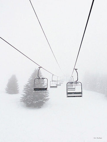 The Sky Slope    Black Ornate Wood Framed Art Print with Double Matting by Seven Trees Design