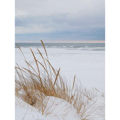 Peaceful Beach White Modern Wood Framed Art Print by Seven Trees Design