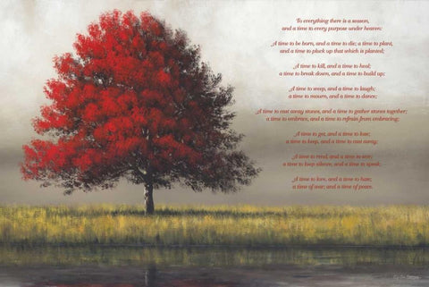 Time for Everything White Modern Wood Framed Art Print with Double Matting by Gagnon,Tim