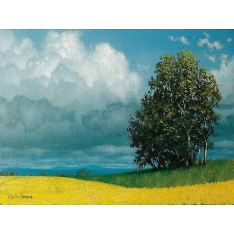 Canola Field Gold Ornate Wood Framed Art Print with Double Matting by Gagnon, Tim