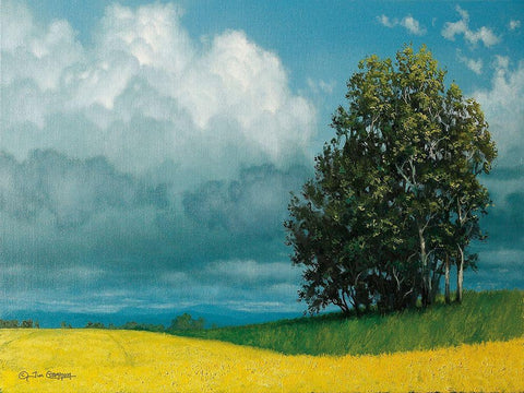 Canola Field Black Ornate Wood Framed Art Print with Double Matting by Gagnon, Tim