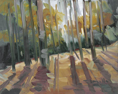 Backlit Woods   White Modern Wood Framed Art Print with Double Matting by Trujillo, Jose