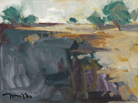 Abstract Landscape     White Modern Wood Framed Art Print with Double Matting by Trujillo, Jose