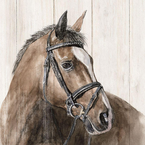 Horse Portrait Black Modern Wood Framed Art Print by White Ladder