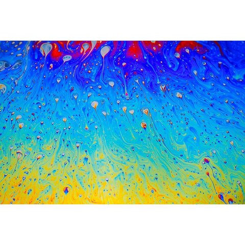 Abstract pattern of refracted light in soap bubble White Modern Wood Framed Art Print by Jones, Adam