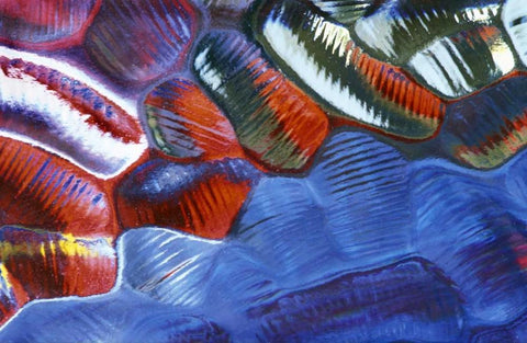 Abstract Pattern in Glass Black Ornate Wood Framed Art Print with Double Matting by Rotenberg, Nancy