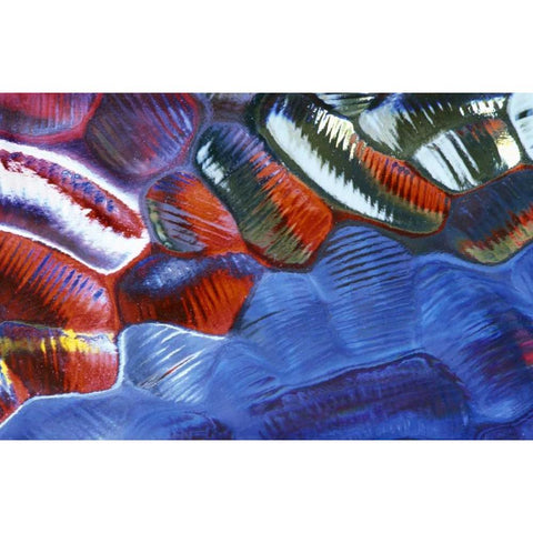 Abstract Pattern in Glass Gold Ornate Wood Framed Art Print with Double Matting by Rotenberg, Nancy