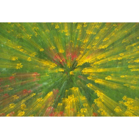 Garden Abstract Black Modern Wood Framed Art Print by Rotenberg, Nancy