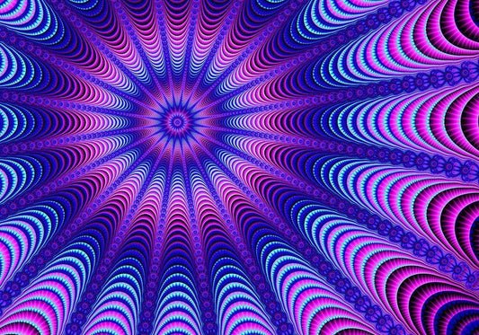 Image Only