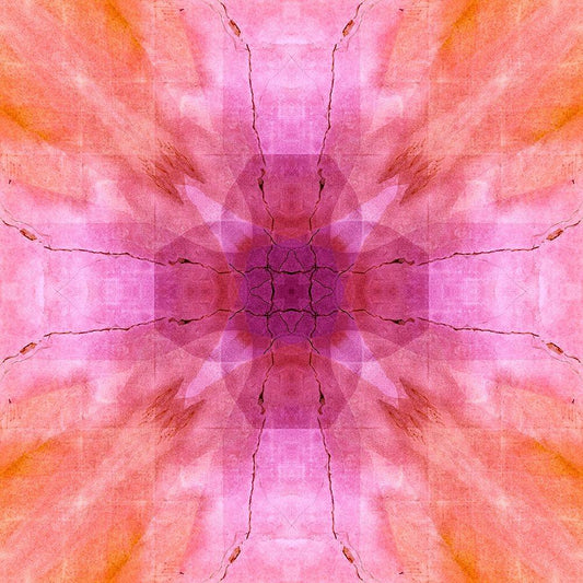 Image Only