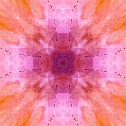 Pink and orange abstract Black Ornate Wood Framed Art Print with Double Matting by Jaynes Gallery