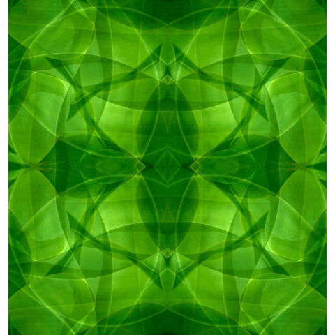 Green kaleidoscope abstract Gold Ornate Wood Framed Art Print with Double Matting by Jaynes Gallery