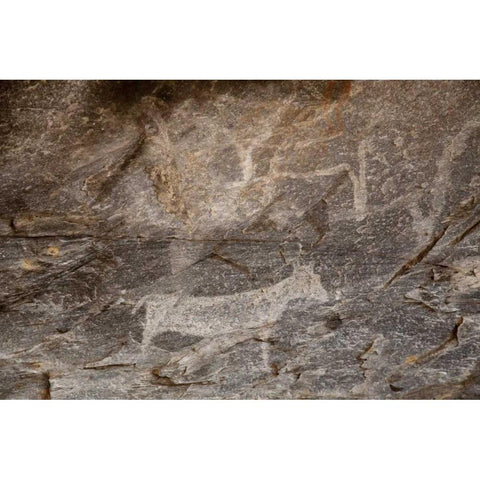 Africa, Botswana, Tsodilo Hills Bushman rock art White Modern Wood Framed Art Print by Kaveney, Wendy