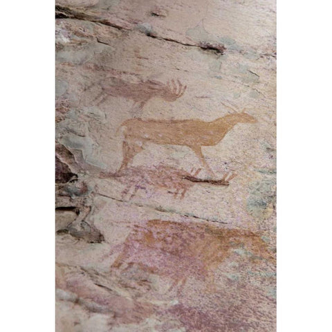 Africa, Botswana, Tsodilo Hills Bushman rock art Black Modern Wood Framed Art Print by Kaveney, Wendy