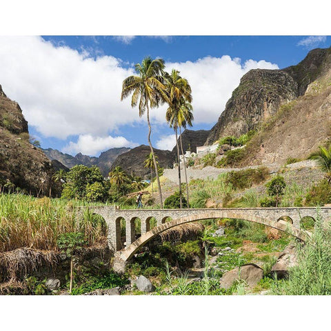 Harvesting sugarcane Valley Ribeira do Paul on the island Santo Antao-Cape Verde Black Modern Wood Framed Art Print by Zwick, Martin