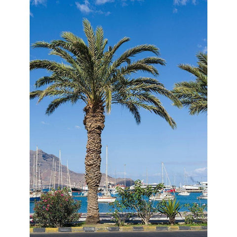 View of Marina and Porto Grande City Mindelo-a seaport on the island Sao Vicente-Cape Verde Africa Black Modern Wood Framed Art Print with Double Matting by Zwick, Martin