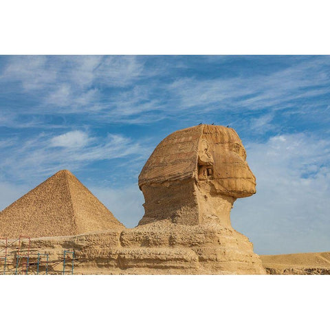 Africa-Egypt-Cairo Giza plateau Great Sphinx of Giza in front of the Great Pyramid of Giza Black Modern Wood Framed Art Print with Double Matting by Wilson, Emily