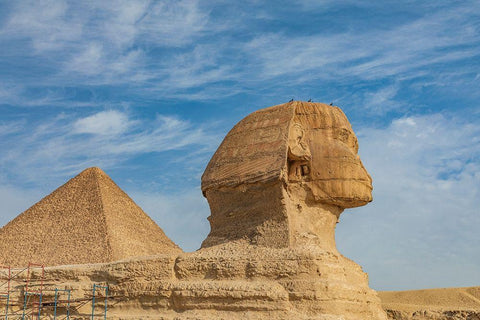 Africa-Egypt-Cairo Giza plateau Great Sphinx of Giza in front of the Great Pyramid of Giza Black Ornate Wood Framed Art Print with Double Matting by Wilson, Emily