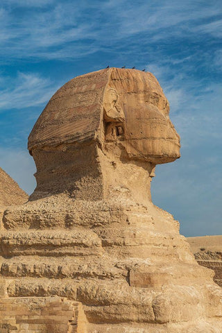Africa-Egypt-Cairo Giza plateau Great Sphinx of Giza in front of the Great Pyramid of Giza White Modern Wood Framed Art Print with Double Matting by Wilson, Emily
