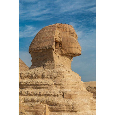Africa-Egypt-Cairo Giza plateau Great Sphinx of Giza in front of the Great Pyramid of Giza Gold Ornate Wood Framed Art Print with Double Matting by Wilson, Emily