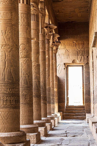 Africa-Egypt-Aswan Philae Temple on Agilkia Island in the Nile River Black Ornate Wood Framed Art Print with Double Matting by Wilson, Emily