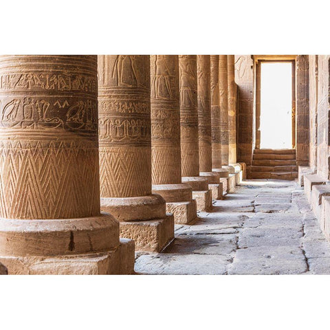 Africa-Egypt-Aswan Philae Temple on Agilkia Island in the Nile River Black Modern Wood Framed Art Print with Double Matting by Wilson, Emily