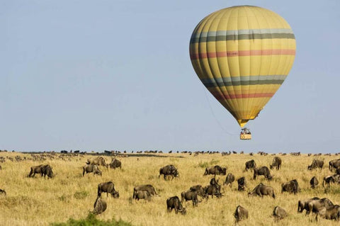 Kenya, Masai Mara Tourists ride hot air balloon Black Ornate Wood Framed Art Print with Double Matting by Kirkland, Dennis