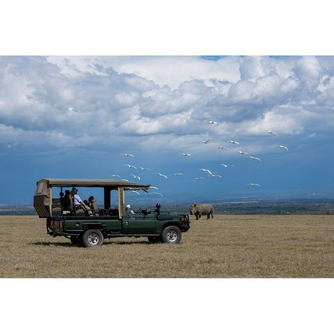 Africa-Kenya-Ol Pejeta Conservancy-Safari jeep with Southern white rhinoceros-Ceratotherium simum Black Modern Wood Framed Art Print by Hopkins, Cindy Miller