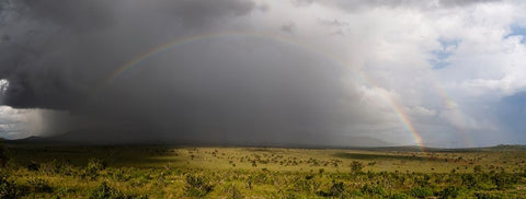 A rainbow over the savannah-Tsavo-Kenya White Modern Wood Framed Art Print with Double Matting by Pitamitz, Sergio